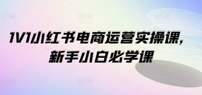 1V1小红书电商运营实操课，新手小白必学课-氚客吧
