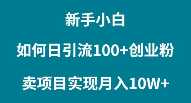 (9556期)新手小白如何通过卖项目实现月入10W+-氚客吧
