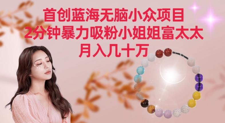 首创蓝海无脑小众项目，2分钟暴力吸粉小姐姐富太太，月入几十万【揭秘】-氚客吧