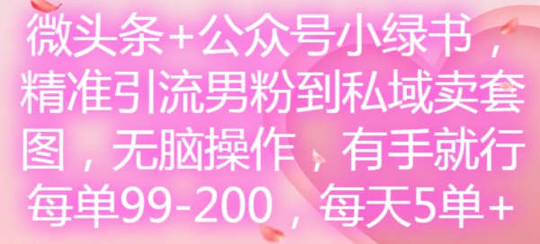 微头条+公众号小绿书，精准引流男粉到私域卖套图，无脑操作，有手就行，每单99-200，每天5单-氚客吧