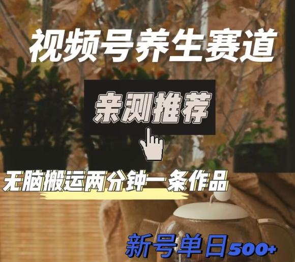 视频号养生赛道暴力掘金，无脑搬运，两分钟一条作品-新日单入500+-氚客吧