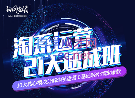淘系运营21天速成班(更新24年6月)-氚客吧