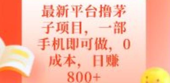 最新平台撸茅子项目，一部手机即可做，0成本，日赚800+-氚客吧