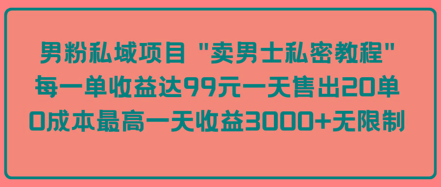 (9730期)男粉私域项目 “卖男士私密教程” 每一单收益达99元一天售出20单-氚客吧