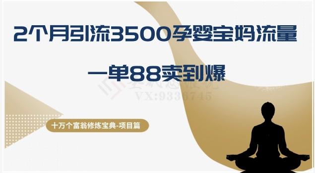 十万个富翁修炼宝典之13.2个月引流3500孕婴宝妈流量，一单88卖到爆-氚客吧