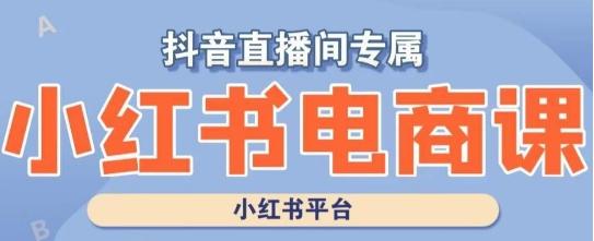 小红书电商高级运营课程，实操教学+案例分析-氚客吧
