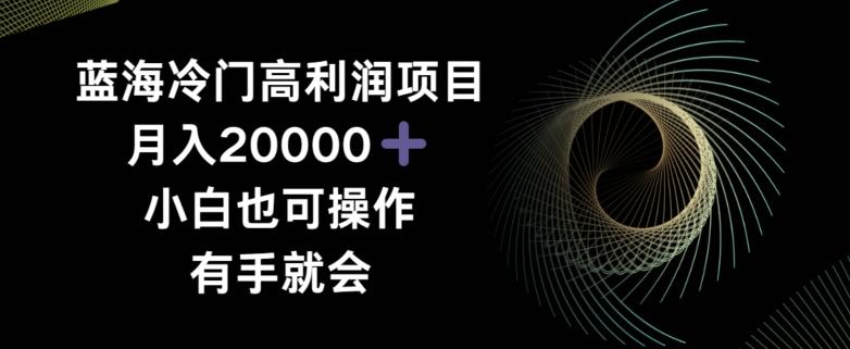 蓝海冷门高利润项目月入2000，小白也可操作有手就会-氚客吧