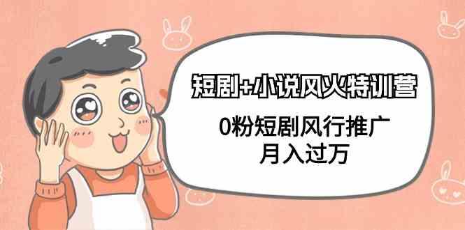 小说+短剧风火特训营，0粉短剧小说风行推广，实现月入过万-氚客吧